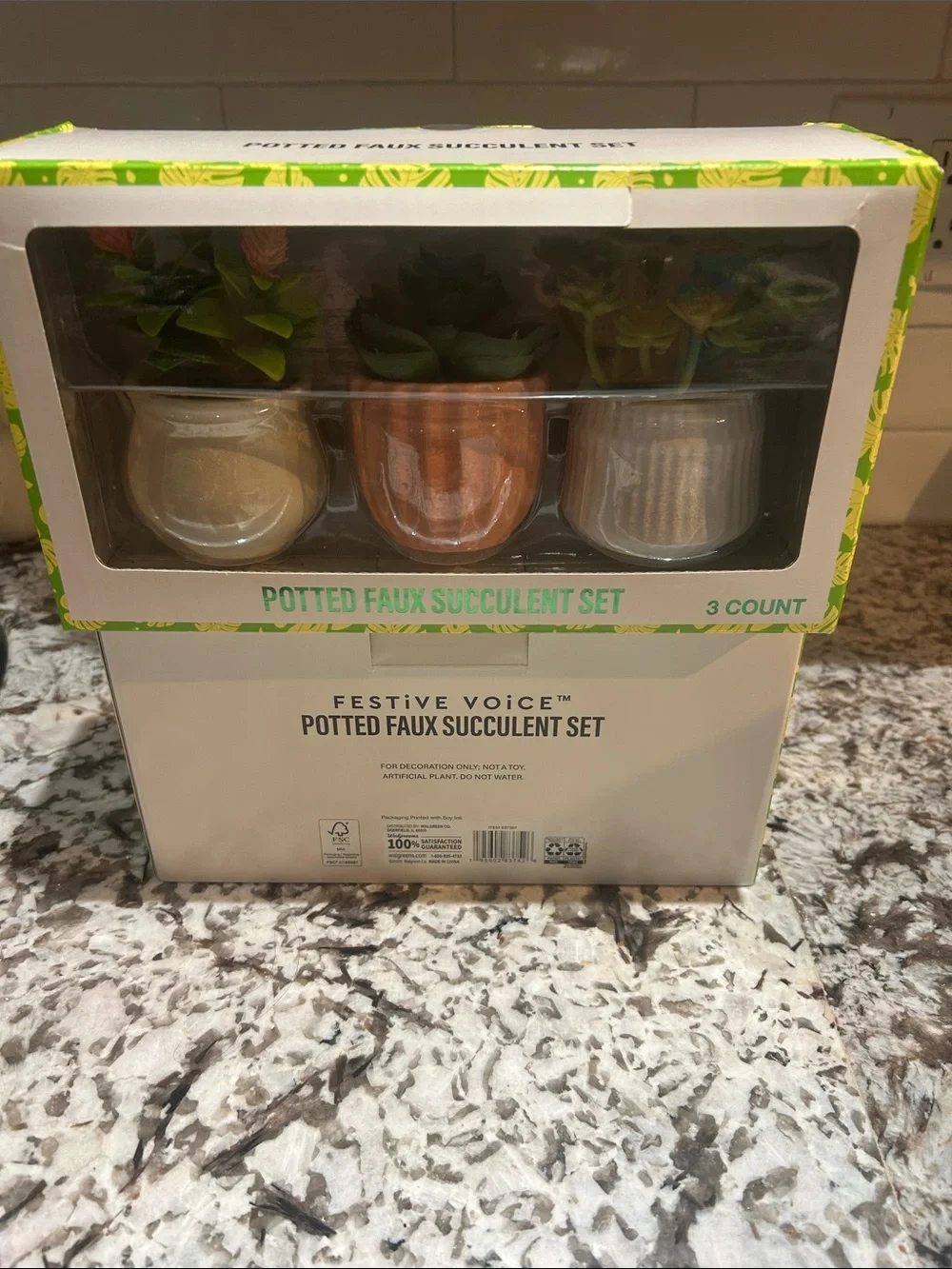 FESTIVE VOICE PITTED FAUX SUCCULENT SET NWT